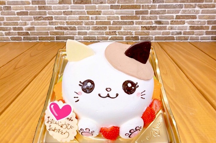 本日はお店はお休みです。