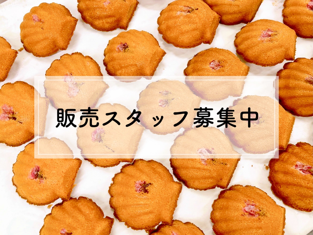 【販売スタッフ(パート・アルバイト)さん募集のお知らせ】現在、パティスリーはぐみでは販売のパート・アルバイトさんを募集しています 春から新生活が始まる学生さんは勿論、お菓子が好きな方、接客が好きな方、販売のお仕事に興味がある方、お気軽にお問い合わせください♪ ◆業務内容:接客、レジ打ち、商品詰め、ラッピング、店内ディスプレイなど販売業務全般をお願いします。◆時間帯:9〜20時内でシフト制◆シフト:週2日〜/1日3時間〜※土日祝入れる方、平日夕方から入れる方歓迎!※◆給与:時給1,140円〜◆勤務地:千葉県松戸市二十世紀が丘梨元町5-5★制服貸与★交通費支給あり(上限あり)★未経験者、初心者歓迎!※接客のバイトデビューも歓迎です★学生さん歓迎★ダブルワークOK ・お菓子が好きな方・接客が好きな方・お近くにお住まいの方・楽しく働きたい方お待ちしております♬ 店頭、またはお電話(047-712-1893)にてお気軽にお問い合わせください。 #アルバイト募集 #洋菓子販売 #スタッフ募集中です #パティスリーはぐみ #ケーキ屋バイト