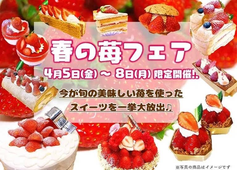 4月5日(金)〜8日(月)の４日間、苺フェア開催します旬の苺を使ったスイーツ達が勢揃い今週末は、はぐみでスイーツのいちご狩りはいかが？ 当店人気No.1の さくさくコルネも４日間限定で苺味が登場(写真3枚目) サクサクのパイ生地に苺味のカスタードクリームを絞り、上には粉糖と苺パウダーをまぶしました また、当店初登場のチョコ苺も注目です♡(写真4枚目)2年連続🥇全国1位🥇に輝いたあま〜い高級苺あまりんに贅沢にチョコレートをたっぷりかけました 苺コルネ＆チョコ苺どちらもご予約可能ですので、絶対食べたい！！方はお電話もしくは店頭にてお気軽にお問い合わせください  #苺フェア #苺まつり #あまりん #高級苺 #松戸ケーキ #パティスリーhagumi #パティスリーはぐみ