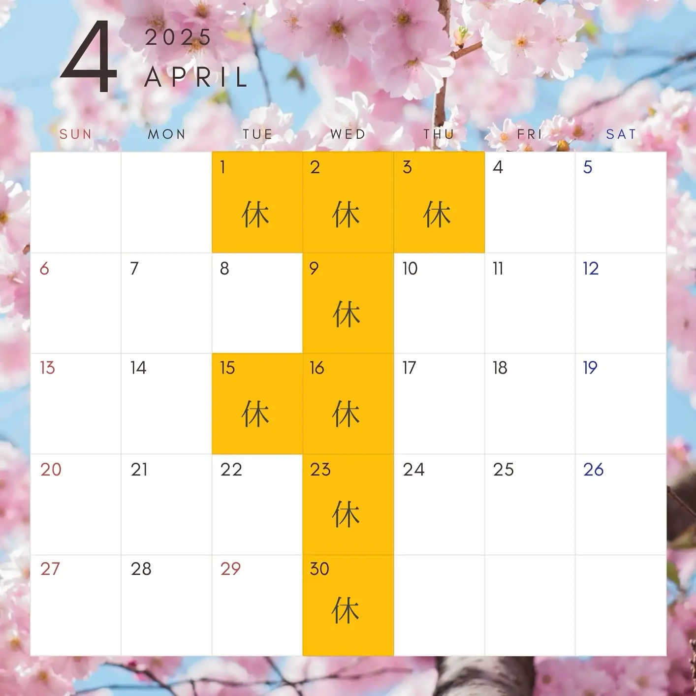 【4月営業日のお知らせ】4月1、2、3、9、15、16、23、30日はお休みです‍♀️ご予約、ご来店の際はご注意ください️ 3月終盤になり、春休みも折り返し地点ですね！店頭では桜柄の可愛いギフトをたくさんご用意していますご入学、ご進級等のお祝いギフトに是非 ケーキも新作が続々登場しています最近なかなかUP出来ていませんでしたが徐々にご紹介していきますのでお楽しみに #4月営業日 #4月カレンダー #桜ギフト #松戸ケーキ屋 #パティスリーはぐみ #パティスリーhagumi